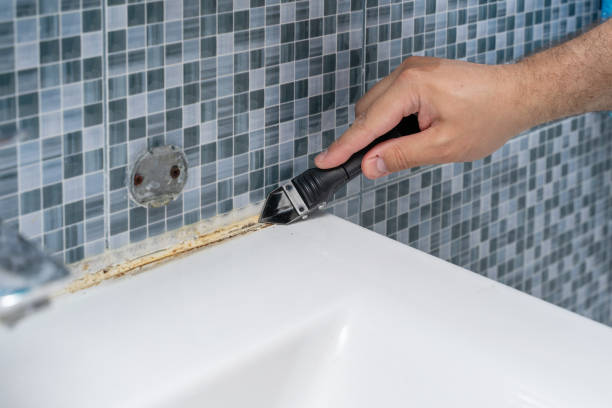Best HVAC Mold Remediation in Garnet, CA