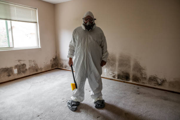 Best Bathroom Mold Remediation in Garnet, CA